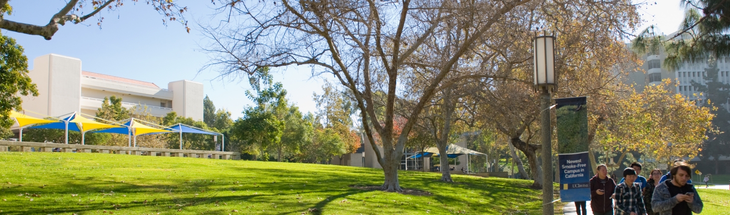 Decorative header photo