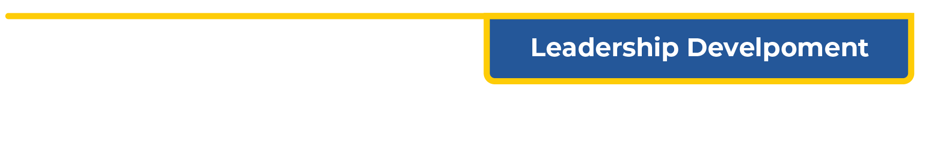 Leadership Development