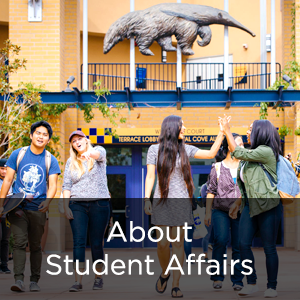 About Student Affairs